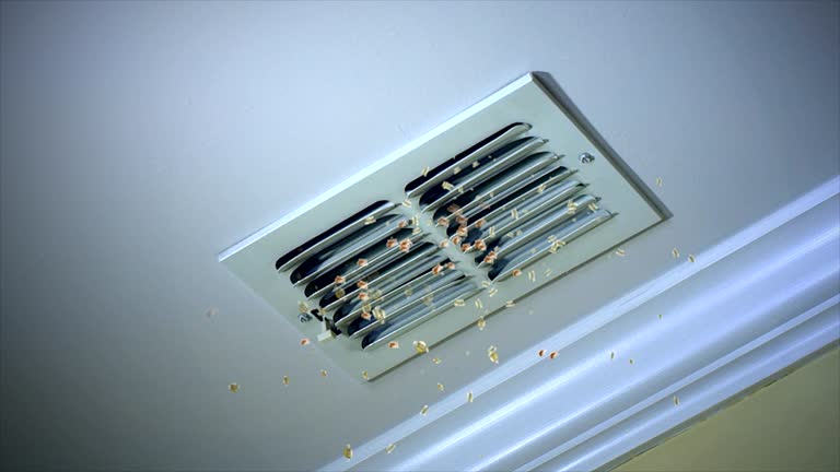 Best Commercial HVAC Duct Cleaning  in North Lindenhurst, NY