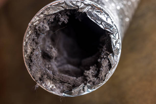 Best Air Duct Cleaning Near Me  in North Lindenhurst, NY